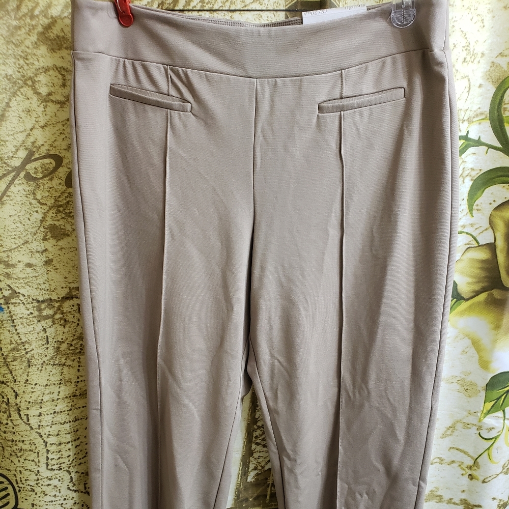 NWT Cato Pants